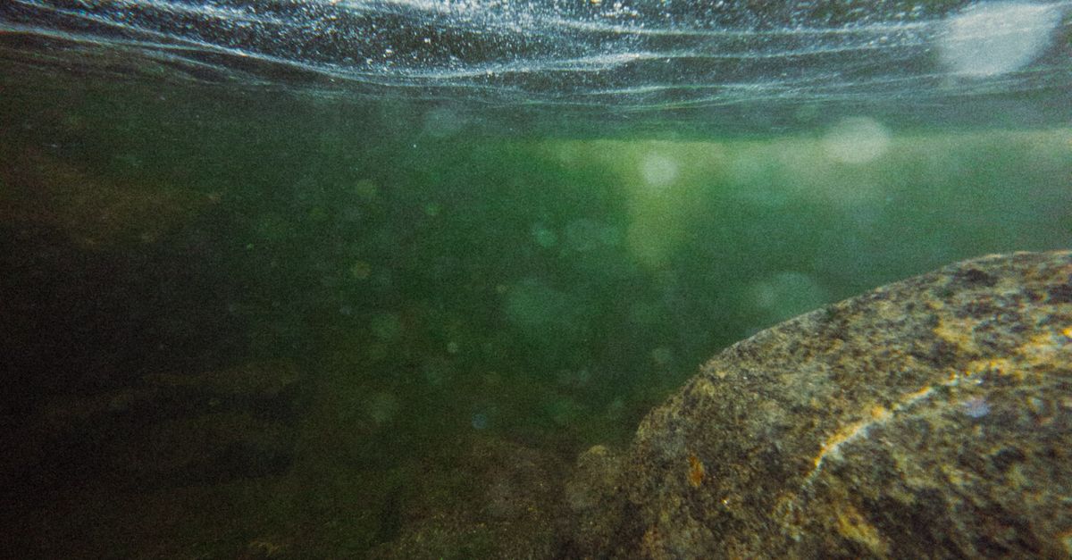 Los récords de profundidad en expediciones humanas al océano Los récords de profundidad en expediciones humanas al océano