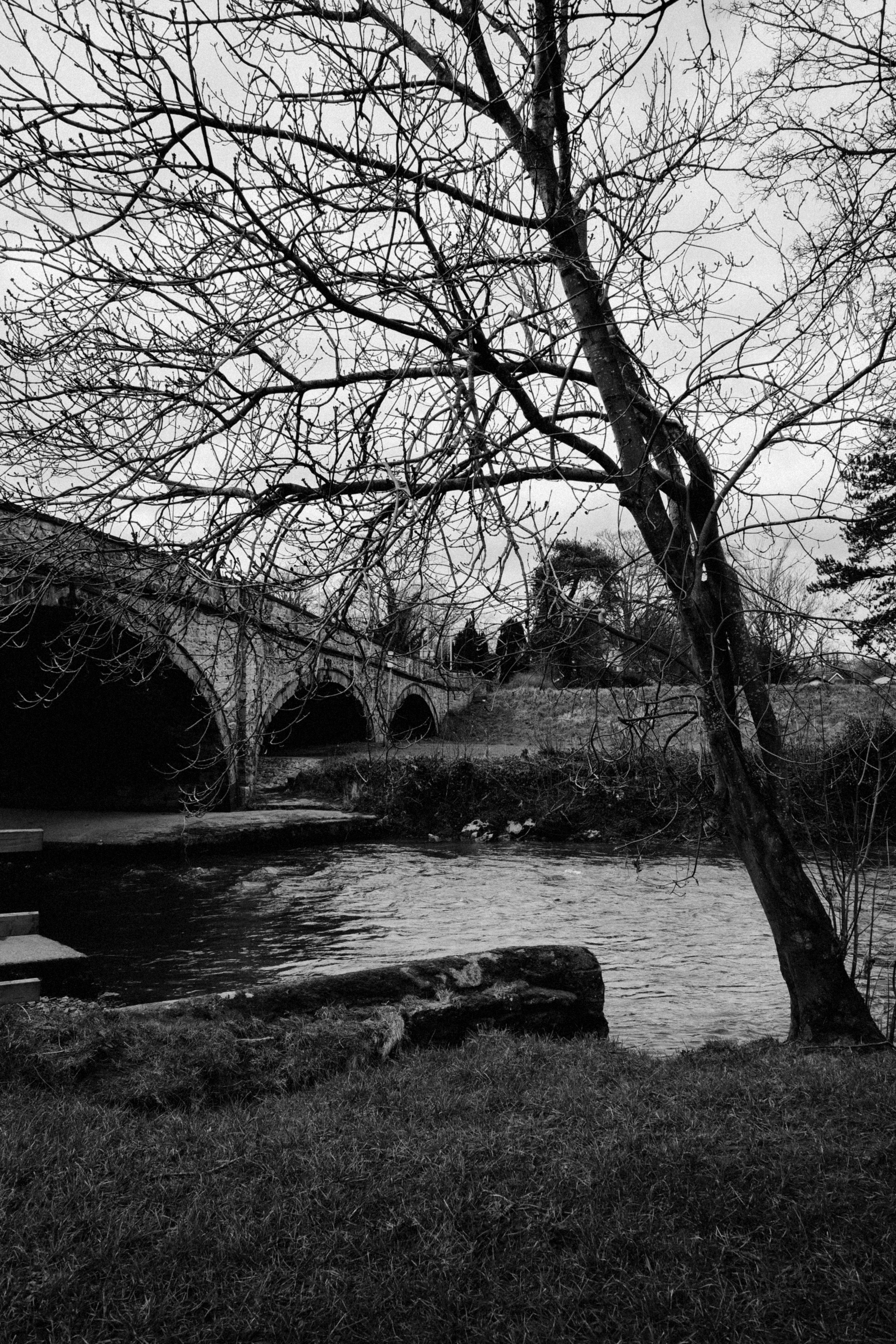 Black and white scene of a bare tree by a river under a bridge in winter.