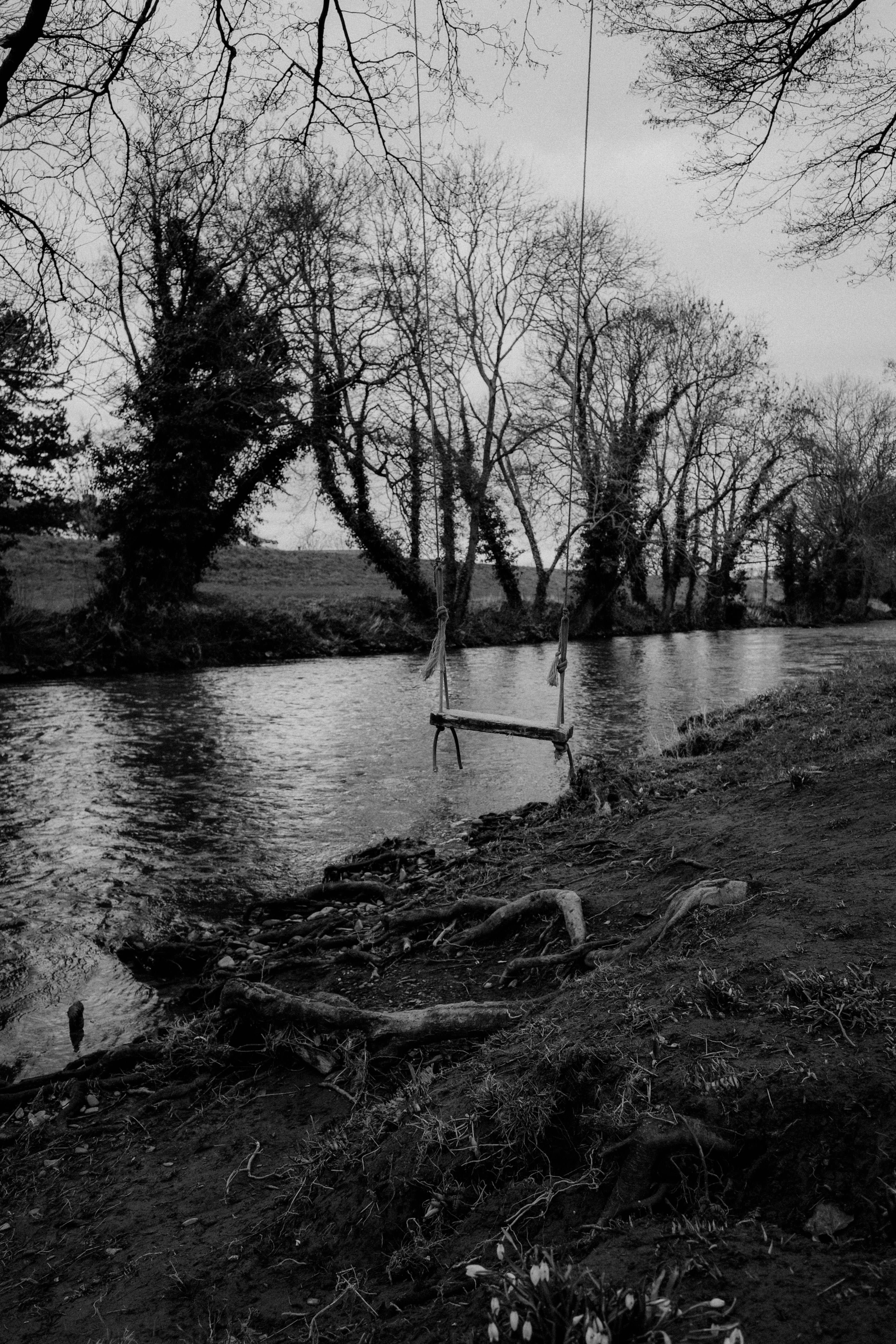 A tranquil black and white scene of a swing by a calm river, surrounded by leafless trees.