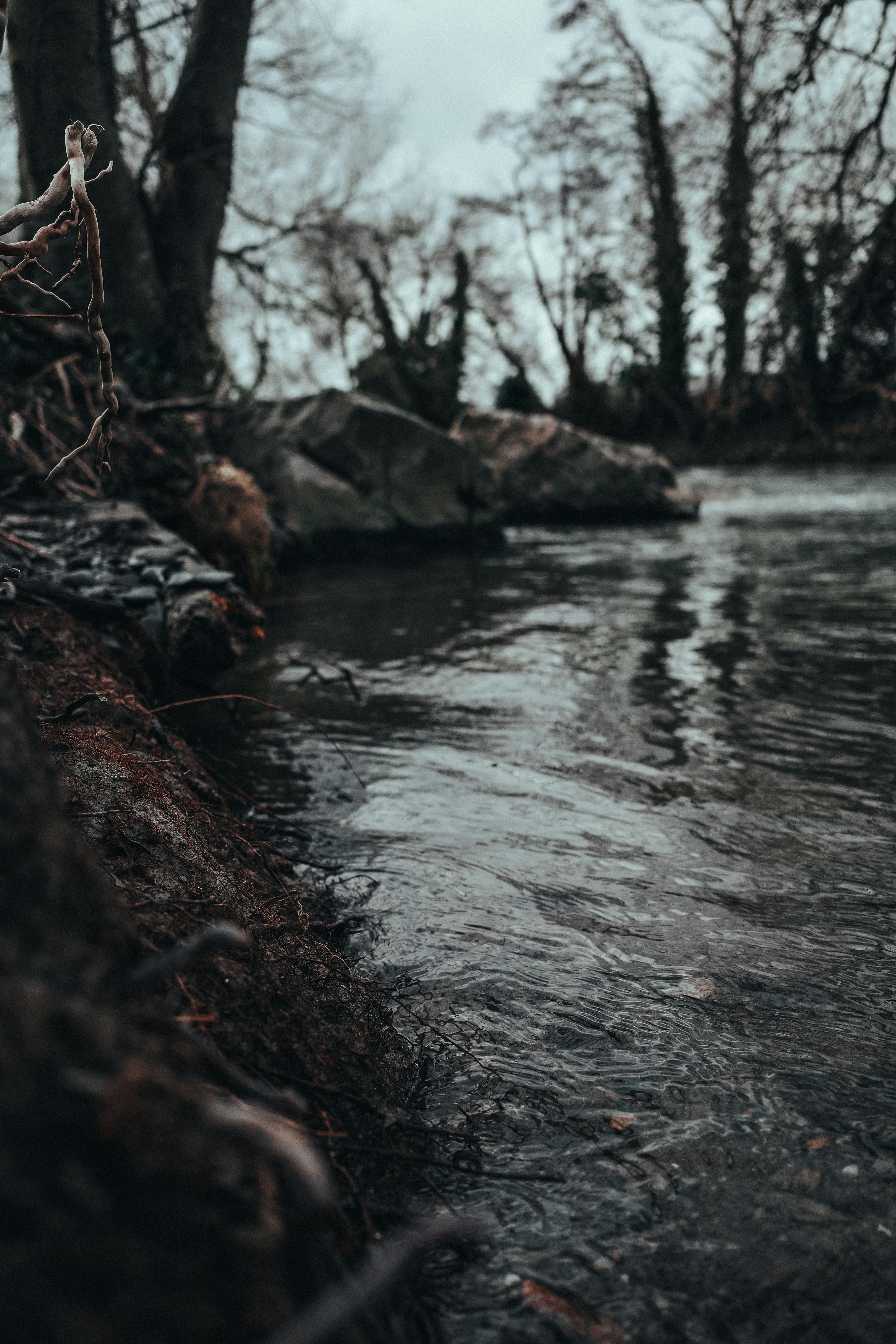 Serene winter stream flowing through a quiet forest with bare trees and cloudy skies.