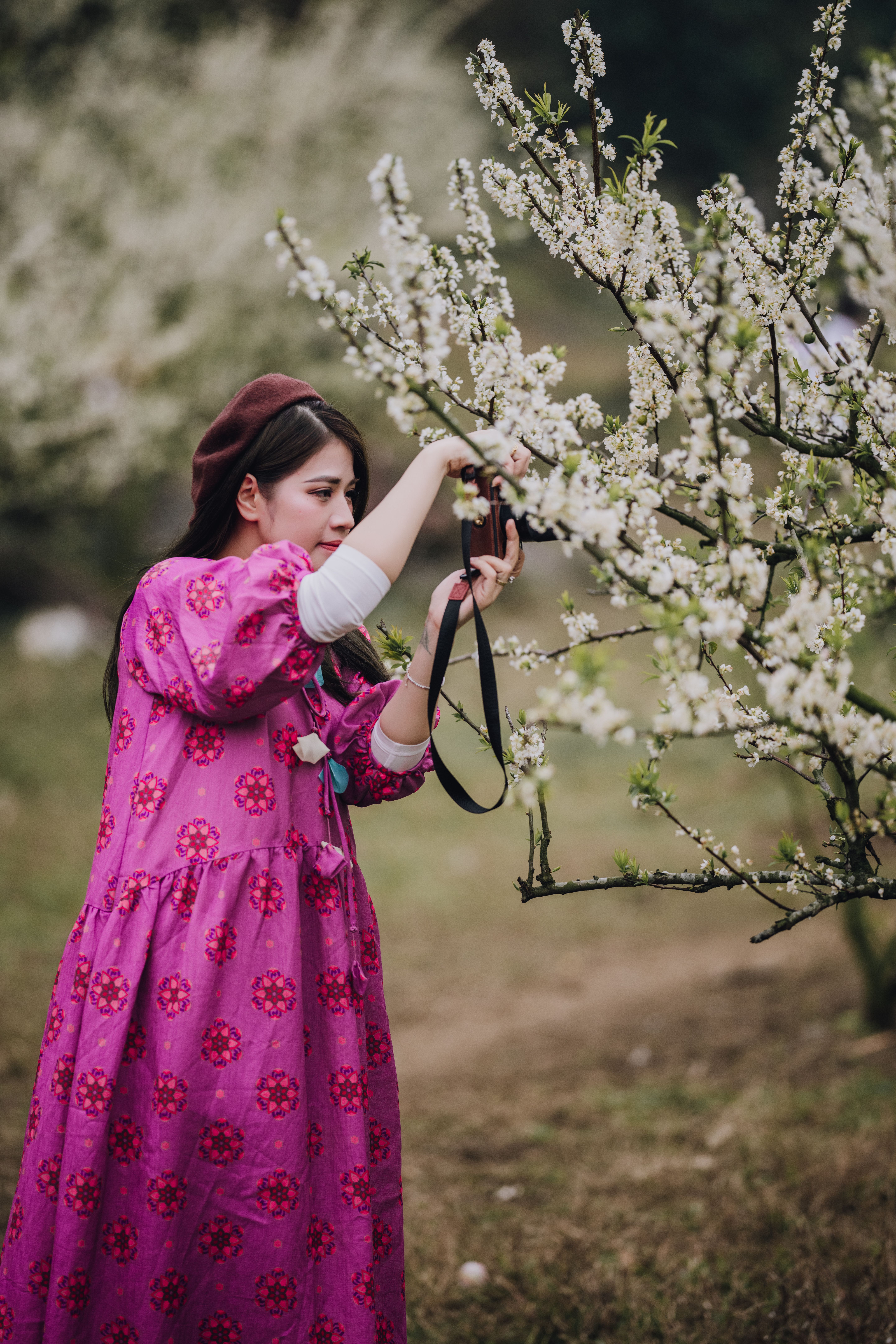 Woman Photographing Blossoming Trees in Spring · Free Stock Photo