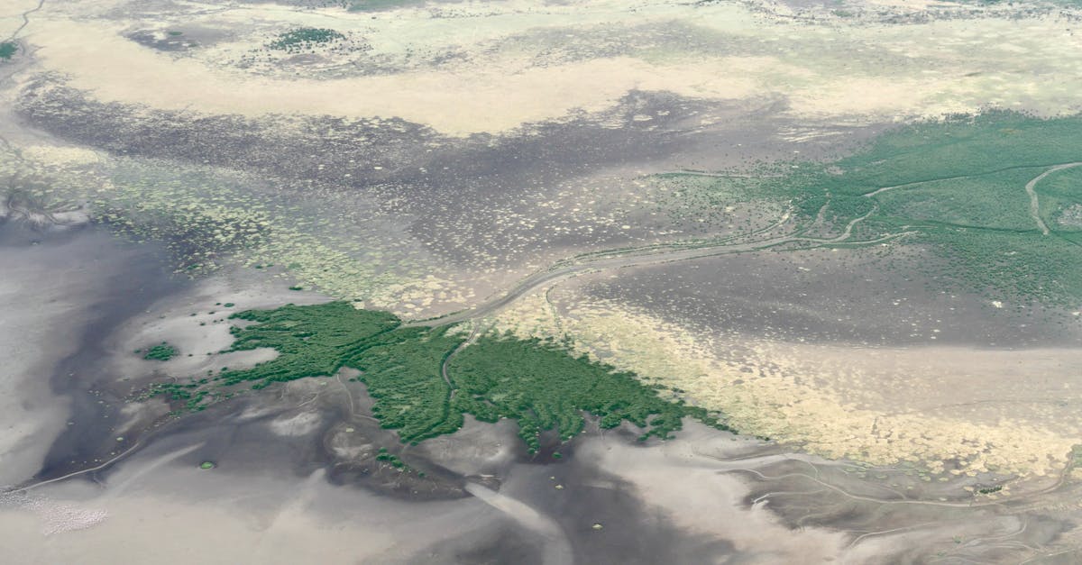 Lake Manyara National Park