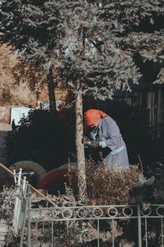 秋天，老妇人在花园里照料植物