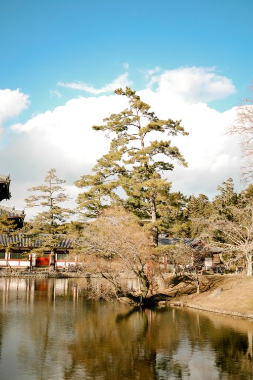 Free A peaceful Japanese garden featuring a tranquil pond and traditional architecture. Stock Photo