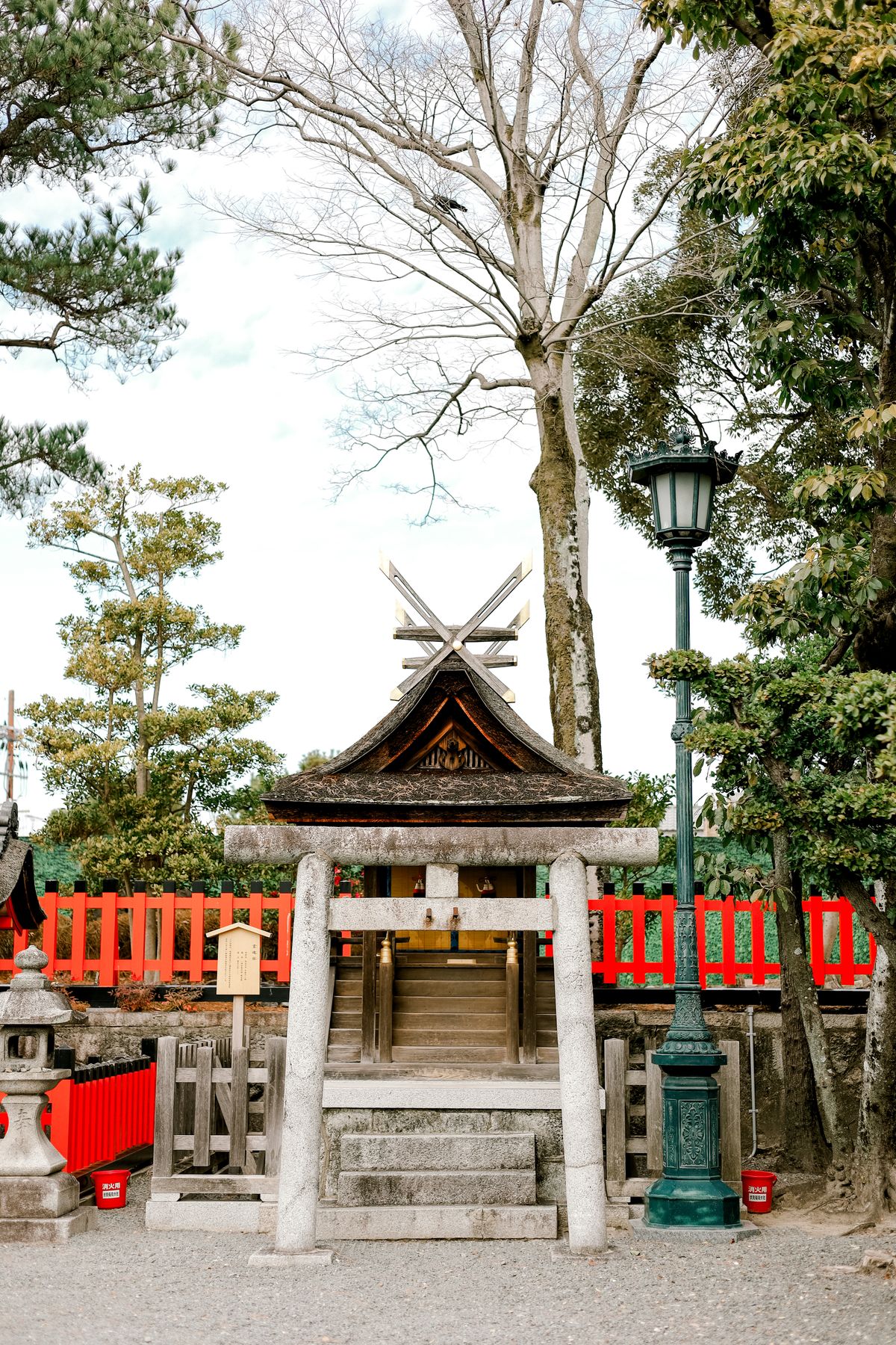 Traditional Japanese shrine torii gate framed by blossoming trees in spring
