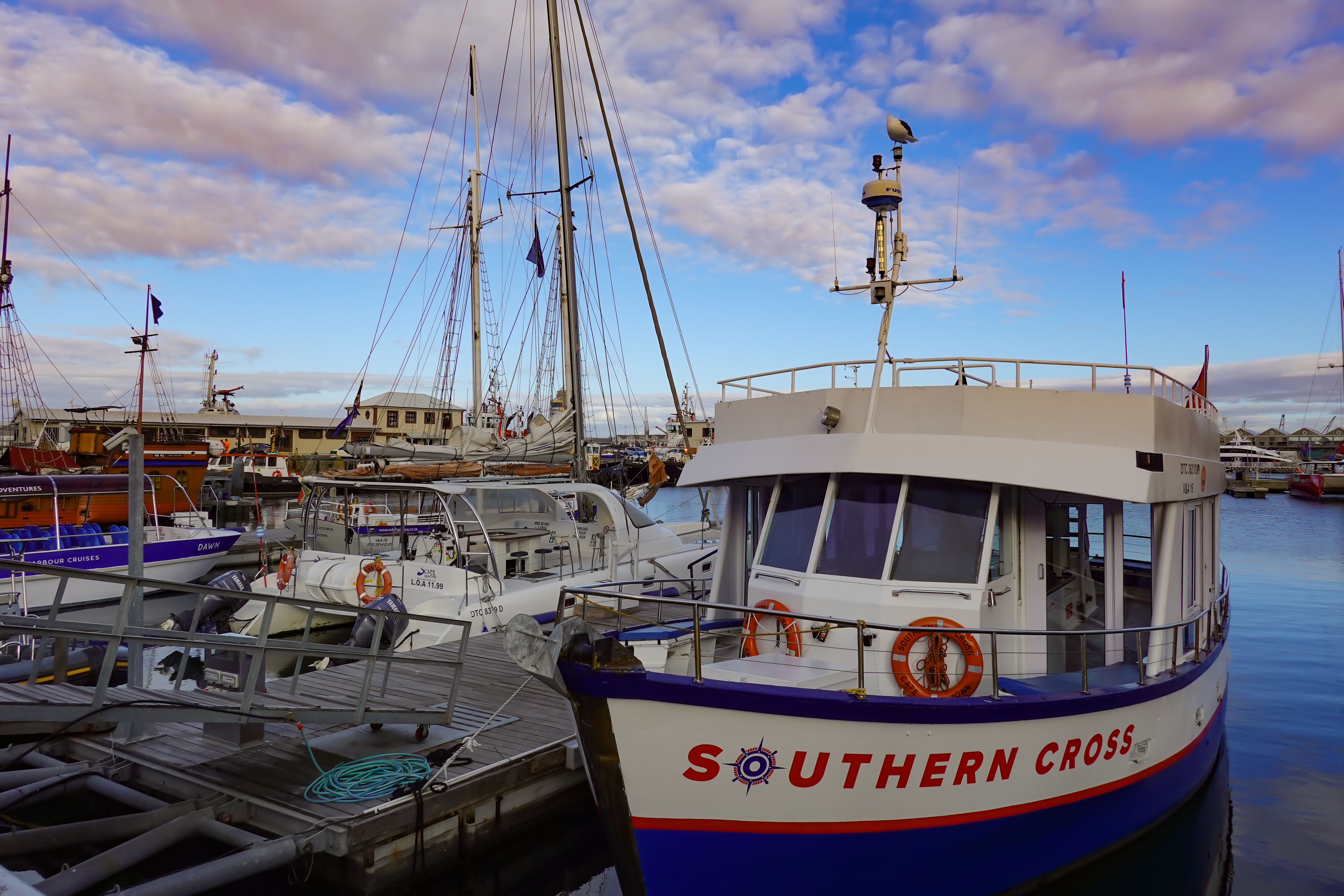 Southern Cross
