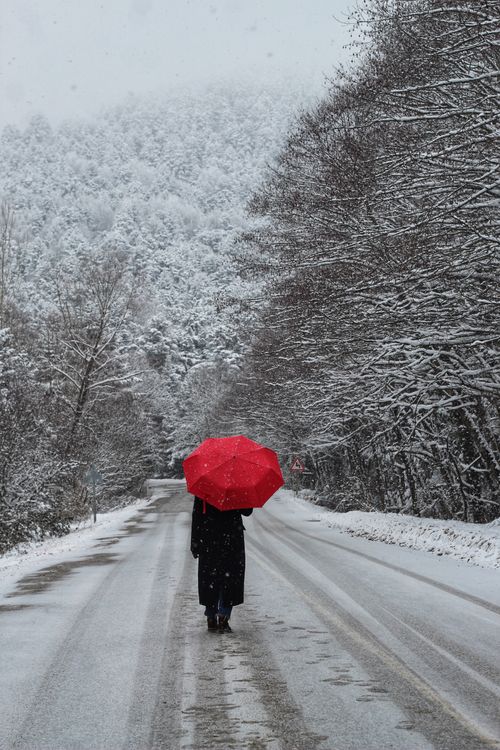 Free A solitary figure walking on a snowy road in Bolu, Türkiye, with a striking red umbrella. Stock Photo