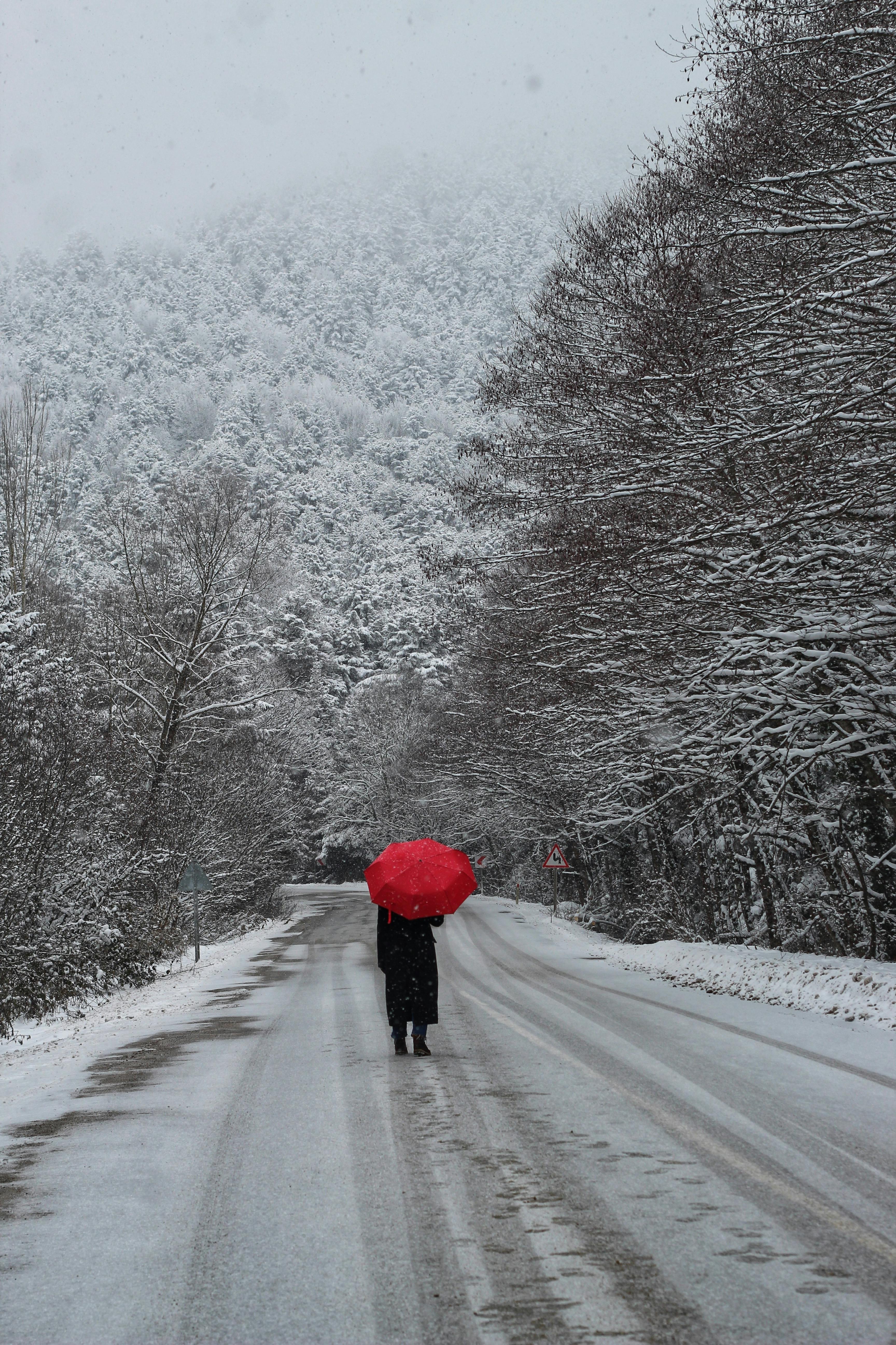 A person with a red umbrella on a snowy road in Bolu, Türkiye.