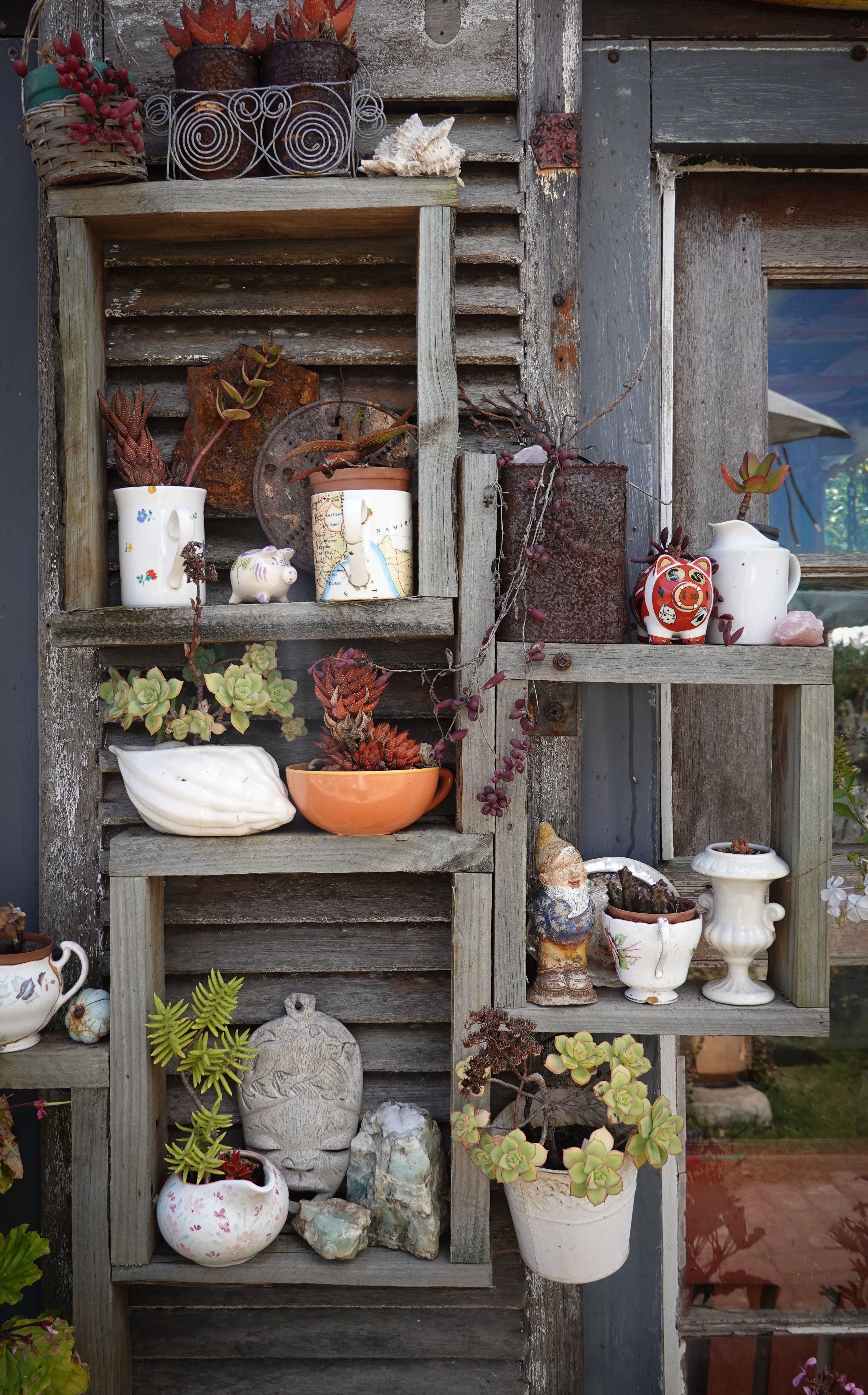 weathered reclaimed wood open shelves holding coffee mugs and canisters