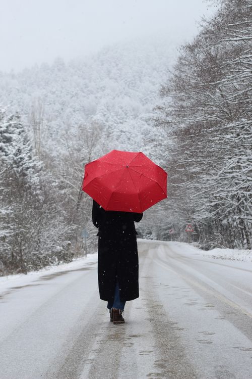Free A solitary figure with a red umbrella walks down a snowy road in Bolu, Türkiye. Stock Photo