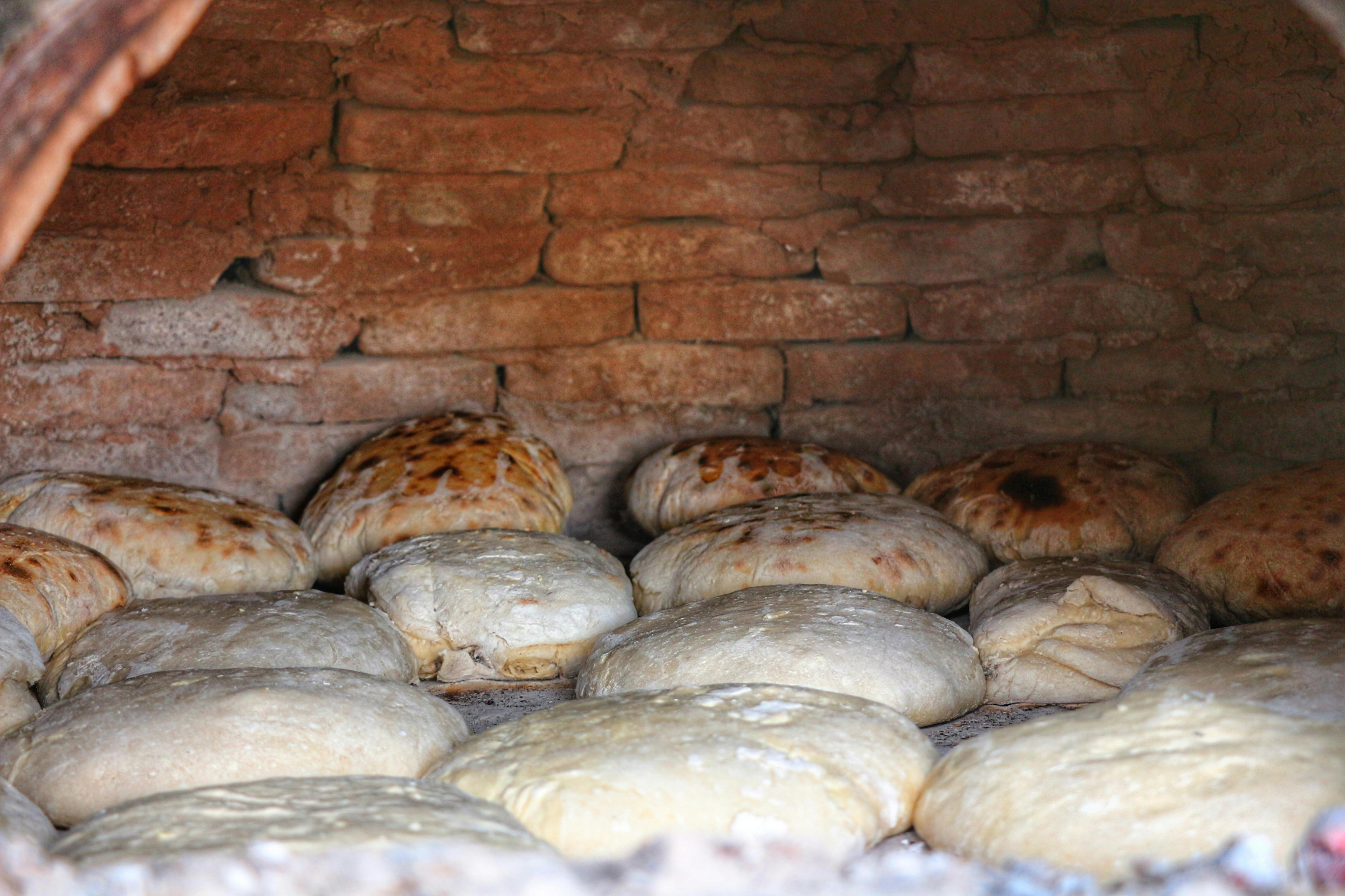 Project Bread’s Community Power Fund Empowers Grassroots Leaders to Make Hunger History — Photo by Elif Taşlı on Pexels