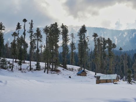 Serene winter scene with snowy trees and huts in Gogaldara, Kashmir.