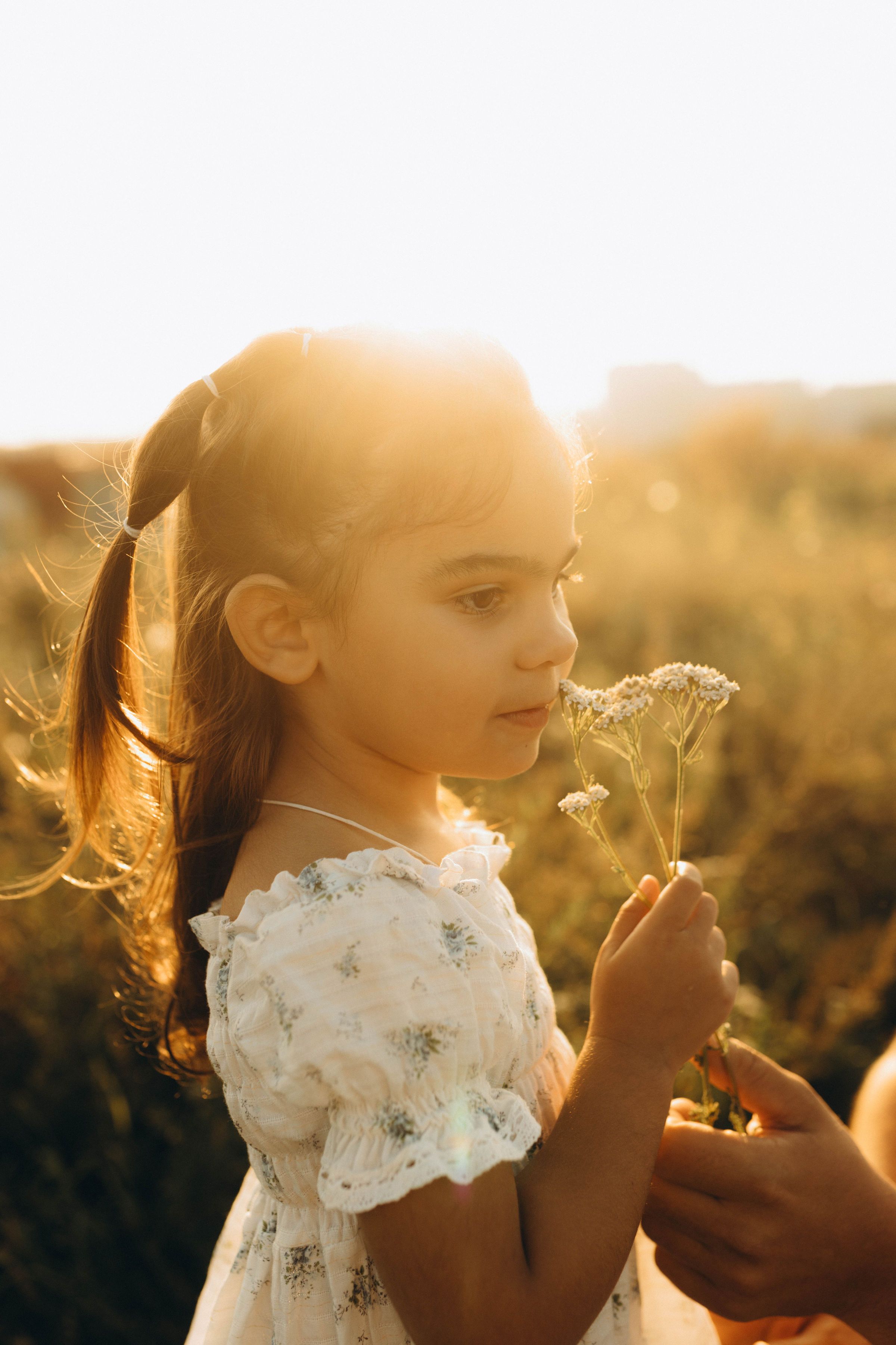 Young girl in a field during golden hour · Free Stock Photo