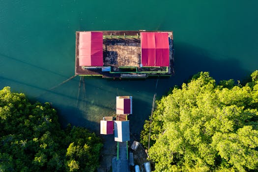 Montego Bay, Jamaica photo 6