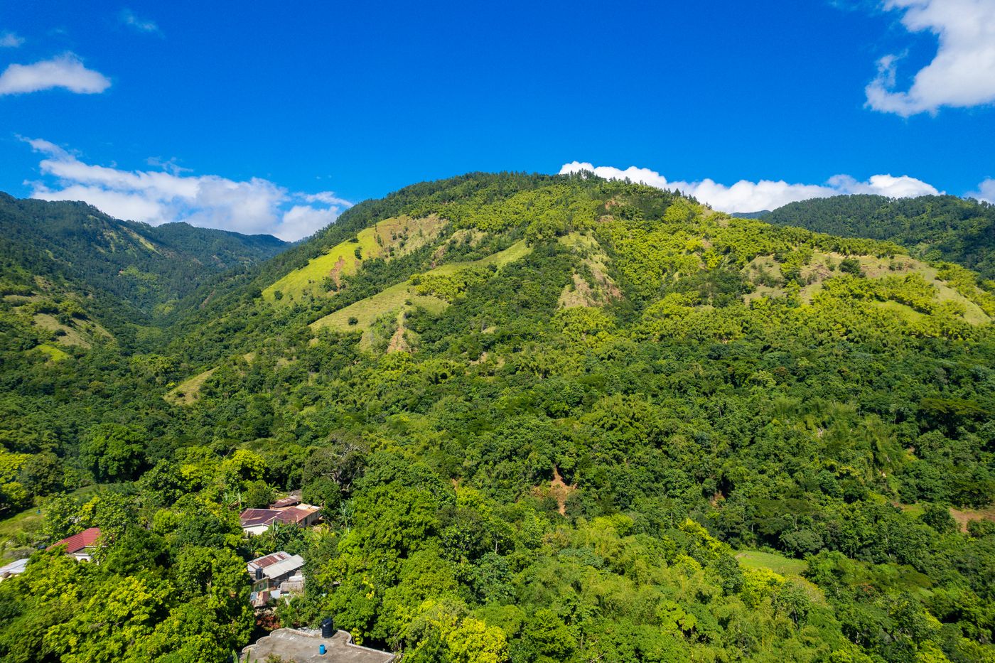 Paysages verdoyants de Jamaïque