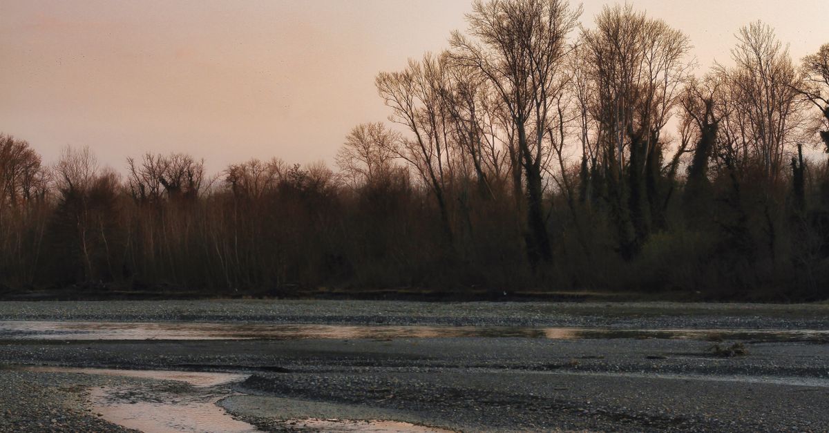 Serene riverbank view with leafless trees at sunset, capturing nature's tranquility.