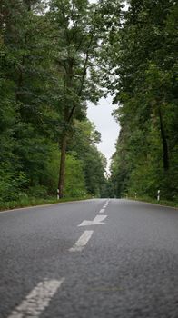 Peaceful forest road in Bad Saarow, Brandenburg, amidst lush greenery, ideal for travel and nature enthusiasts.