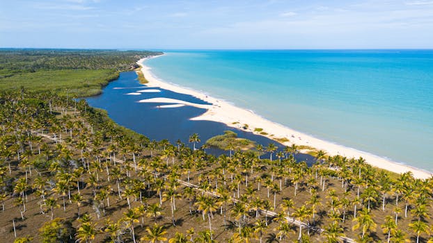 Stunning aerial view of Bahia, Brazil showcasing its tropical coastline and turquoise waters.