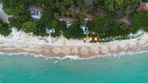 Stunning aerial shot of a tropical beach in Bahia, Brazil, with lush coconut trees and clear seawater.