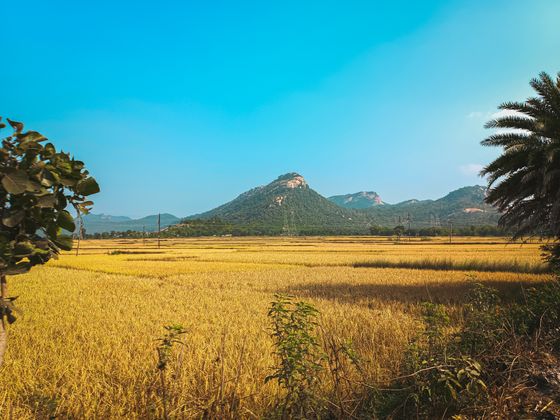Arichal Munai (Land's End)