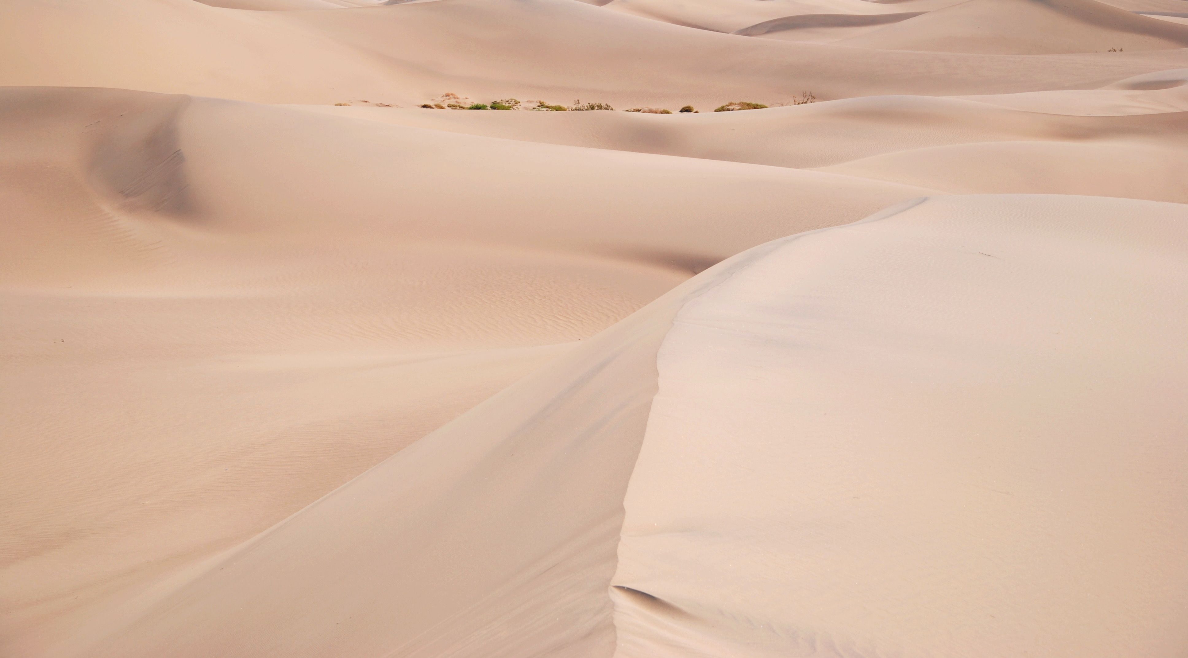A tranquil view of expansive sand dunes under a clear sky, capturing the essence of desert wilderness.