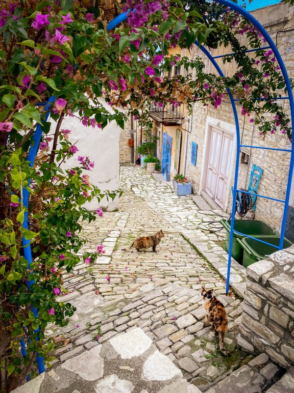 Nicosia