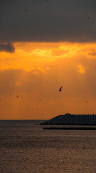 Golden sunset over the sea with birds flying, creating a peaceful and dramatic seascape.