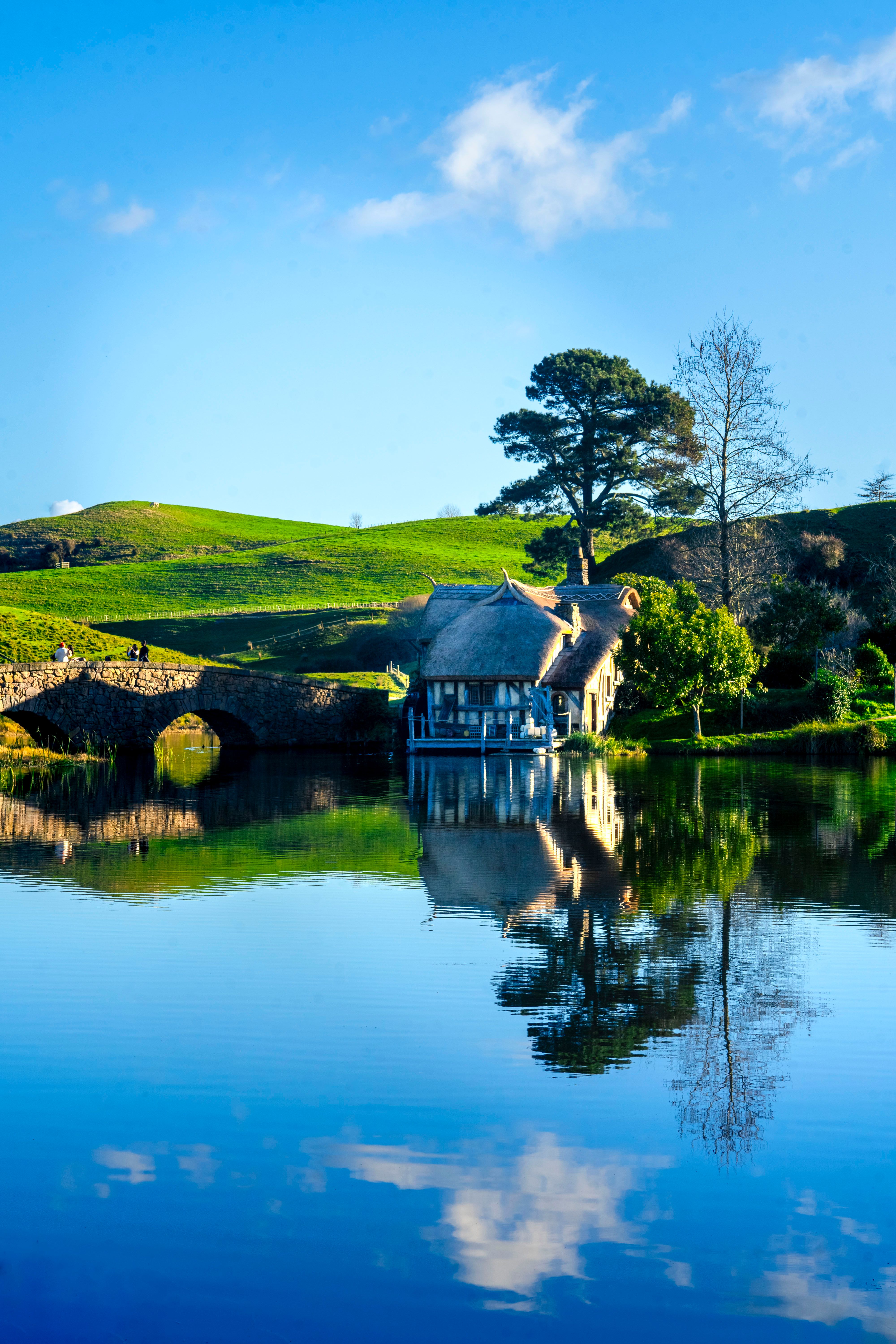 Enchanting Hobbiton Landscape in New Zealand · Free Stock Photo