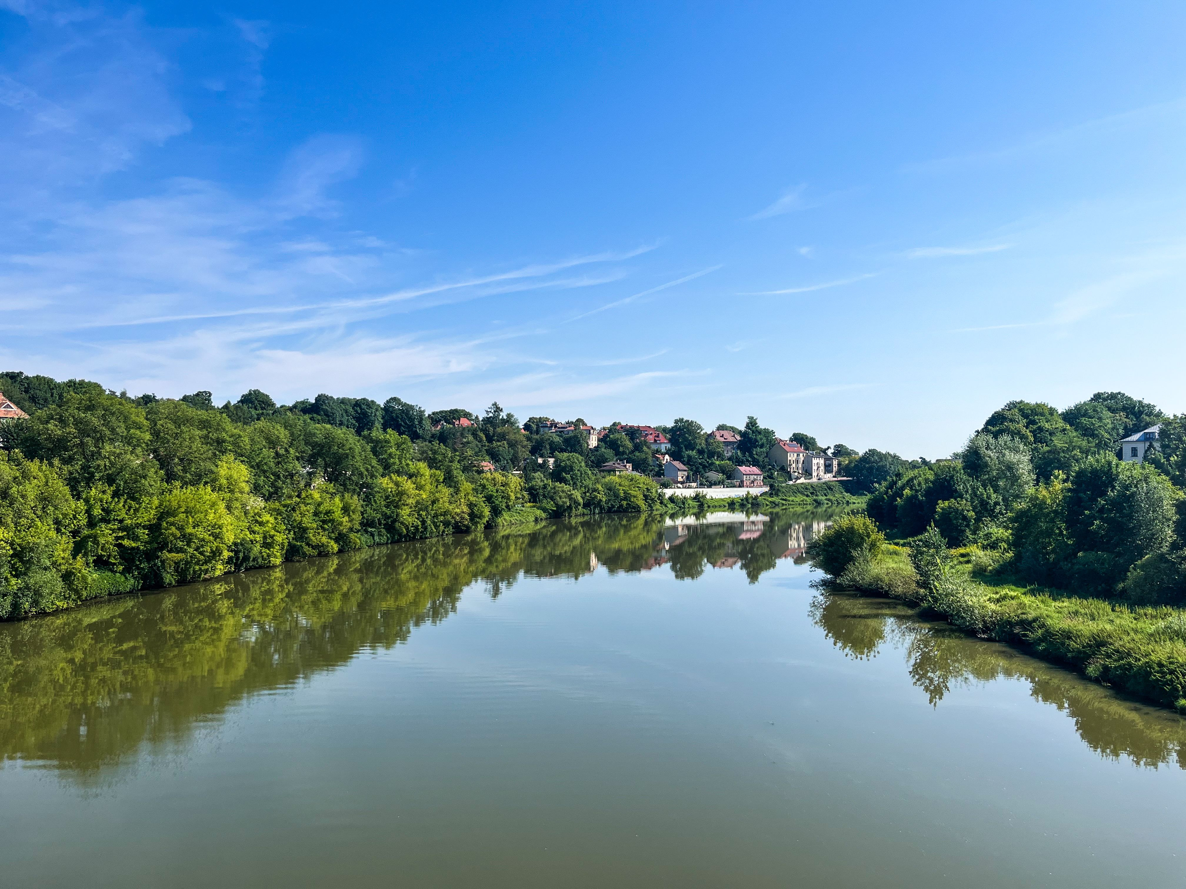 Blick auf einen ruhigen Fluss mit bewaldeten Ufern