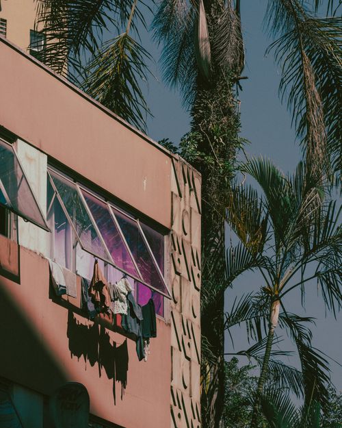 Free A city apartment building facade with hanging laundry and surrounding palm trees in sunlight. Stock Photo