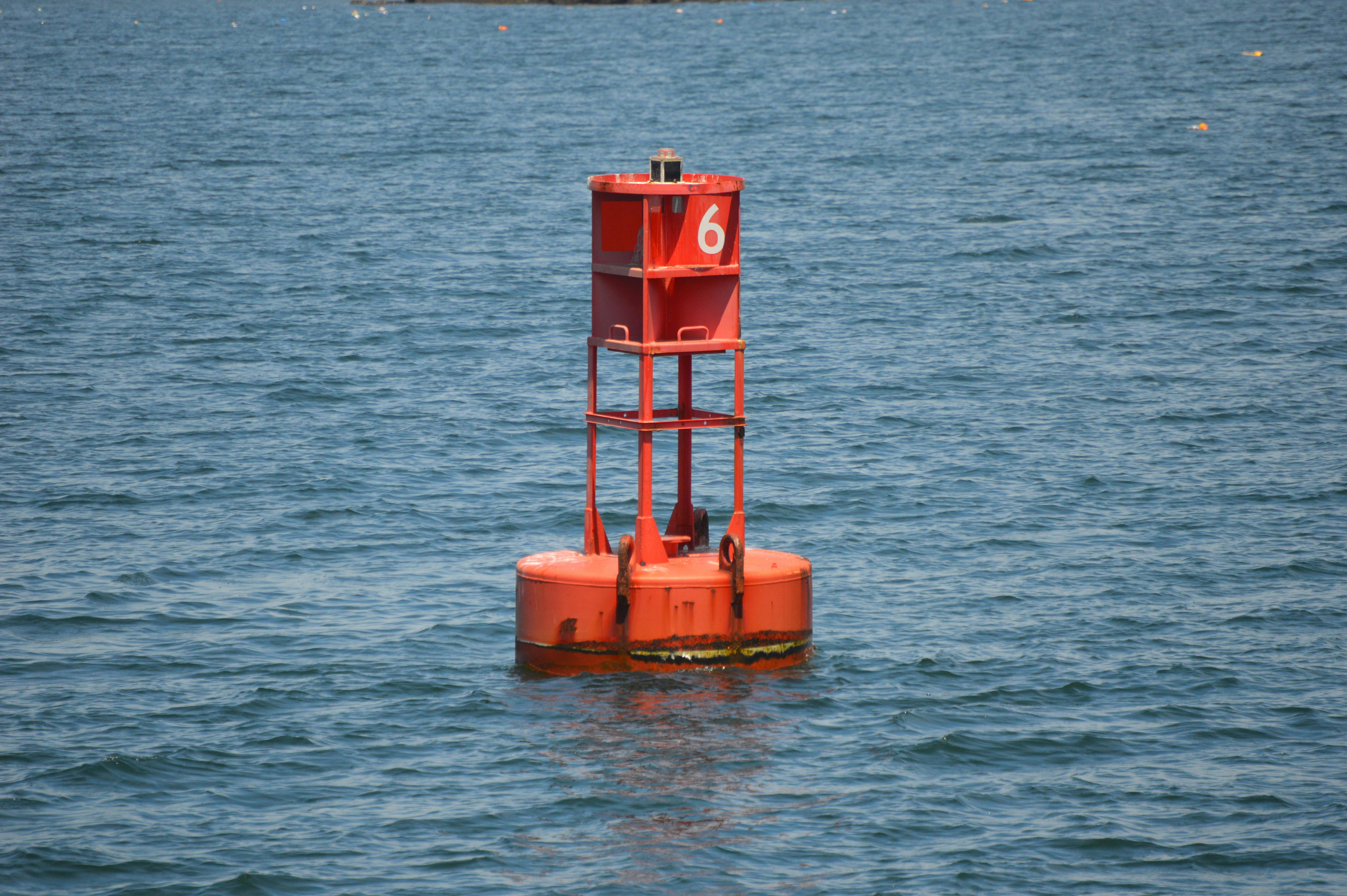 Service orders tackle post maintenance, repair issues — Photo by Elliott Corriveau on Pexels
