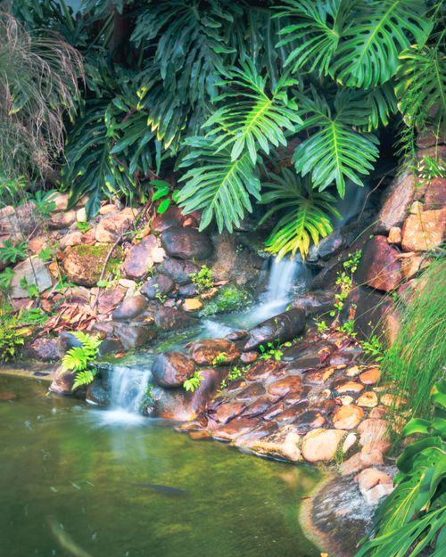 Free A tranquil waterfall in a tropical garden surrounded by lush green foliage and rocks. Stock Photo
