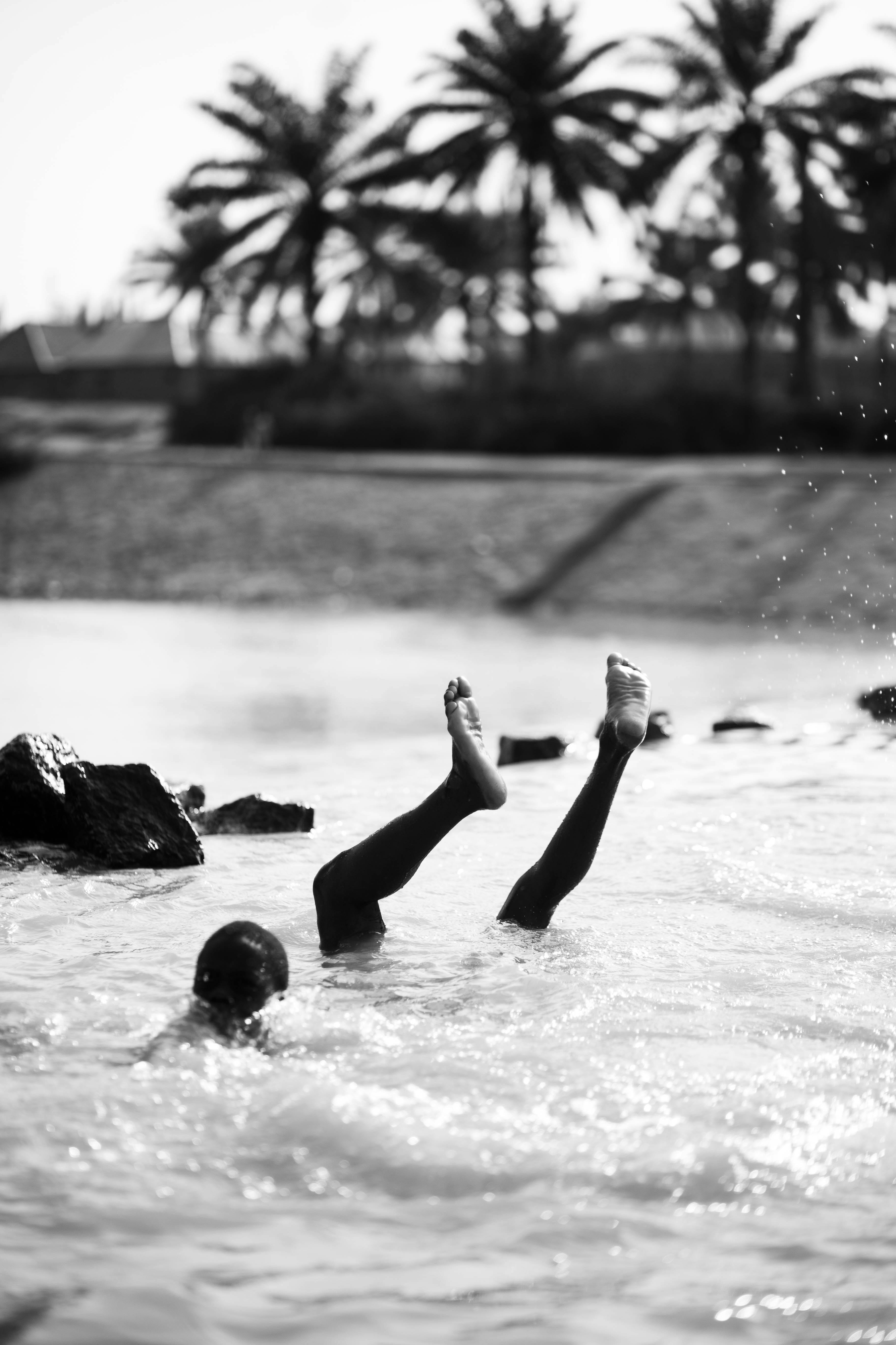 A carefree child's legs splash in water under palm trees.