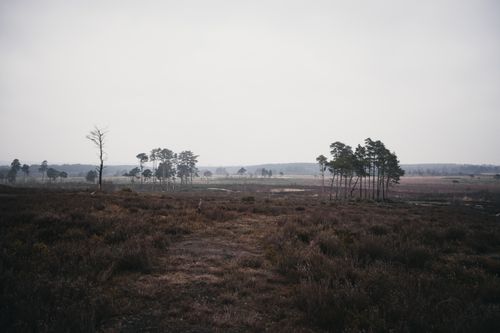 Free Tranquil countryside view of an English moorland with scattered trees and open skies. Stock Photo