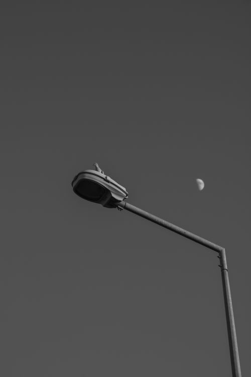 Free Black and white photo capturing a street lamp with the moon in a minimalistic urban night sky. Stock Photo
