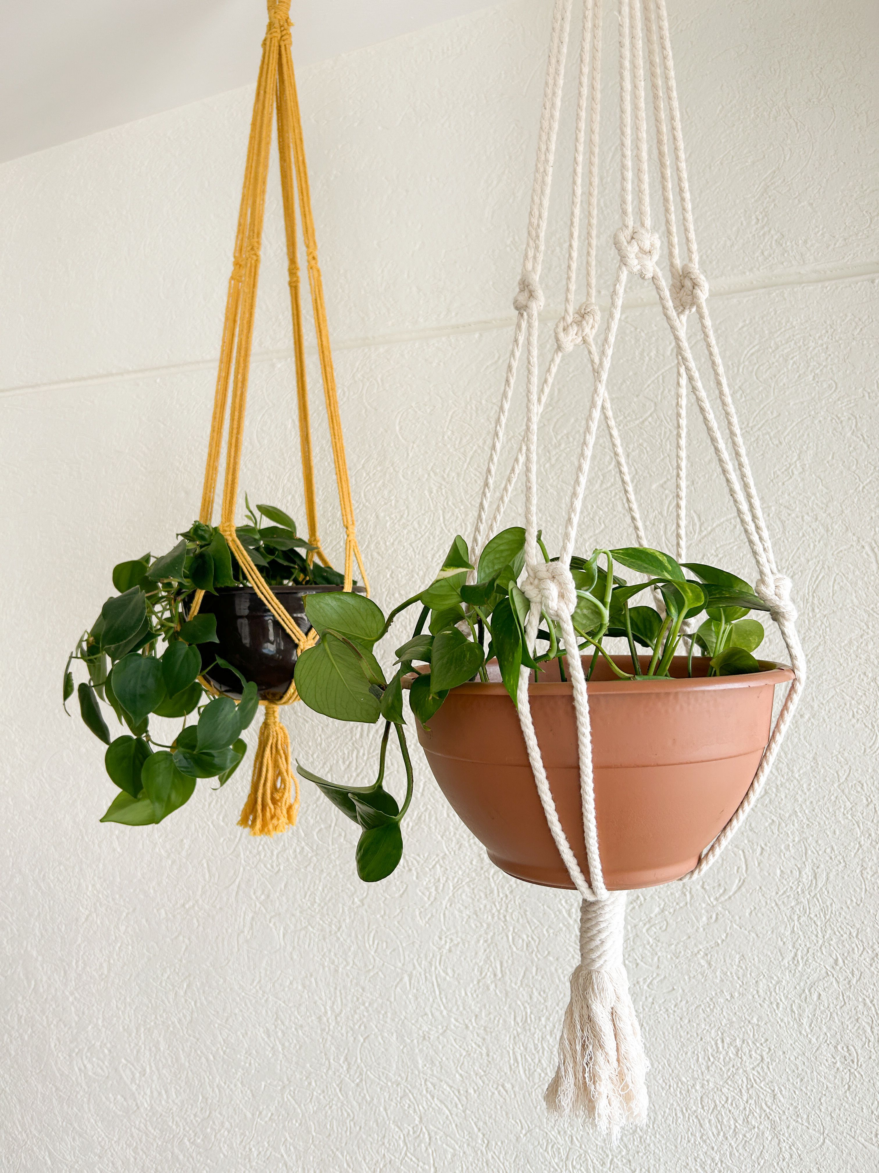 Three cotton macramé plant hangers hanging from a small apartment patio ceiling, holding small potted trailing plants