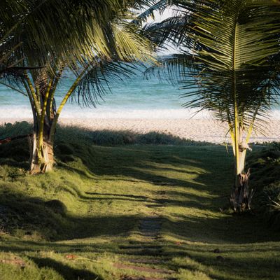 Hawaii Scrapbook