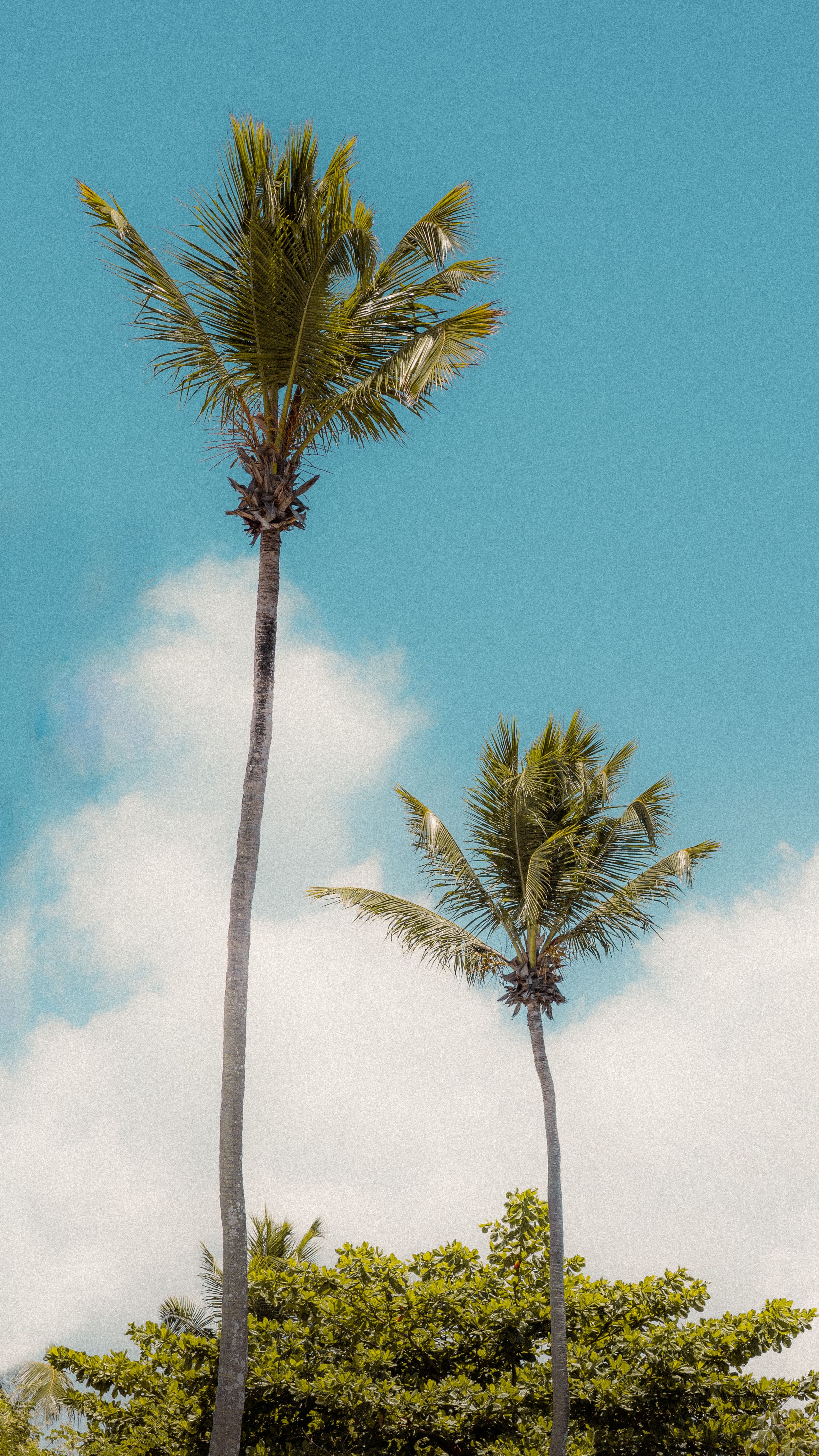 Fotomural Fotolia