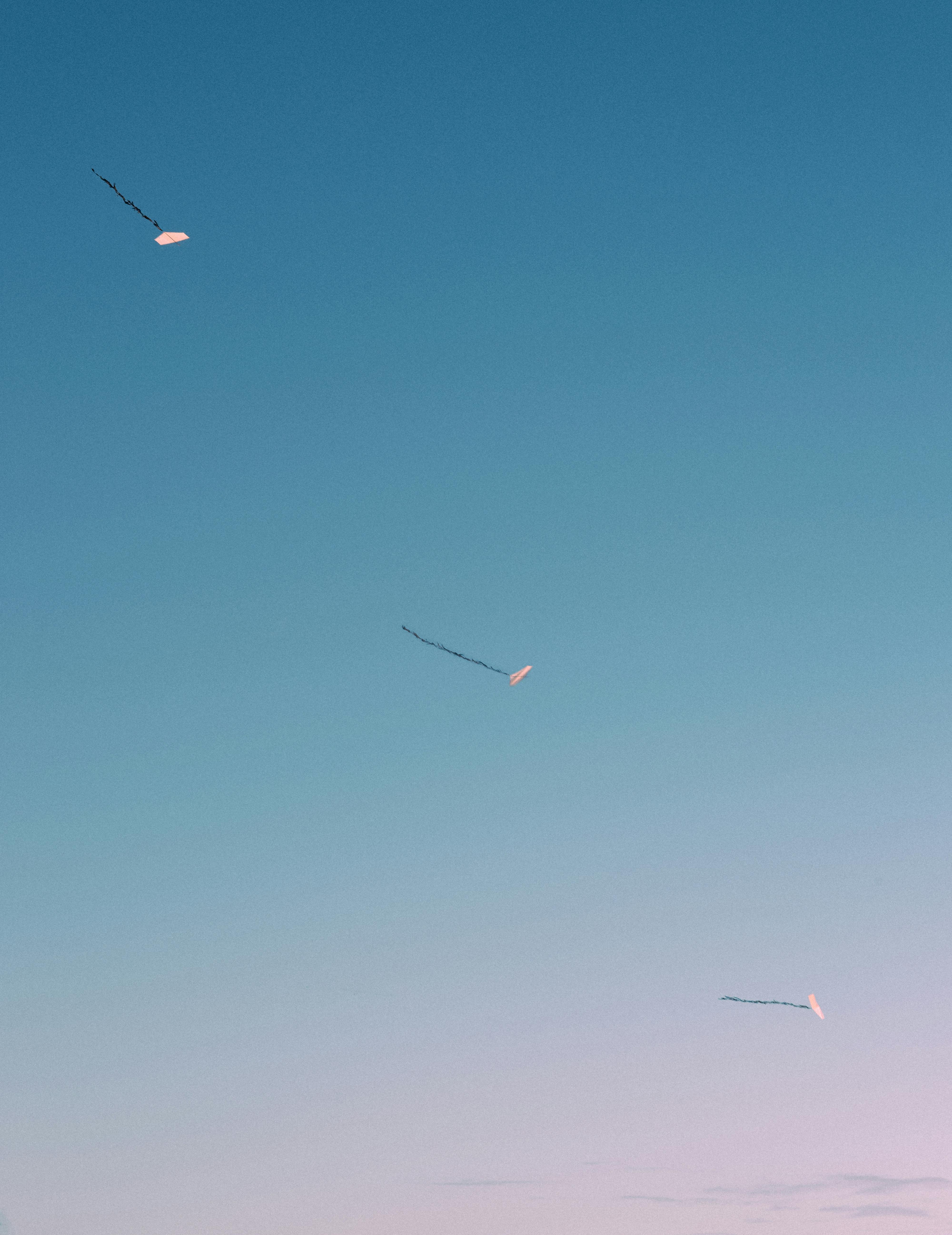 gratis Drie vliegers zweven op een heldere dag tegen een stralend blauwe lucht, wat vrede en vrijheid symboliseert. Stockfoto