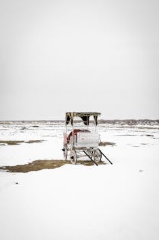 A vintage carriage sits alone on a vast snow-covered field, creating a serene winter scene.