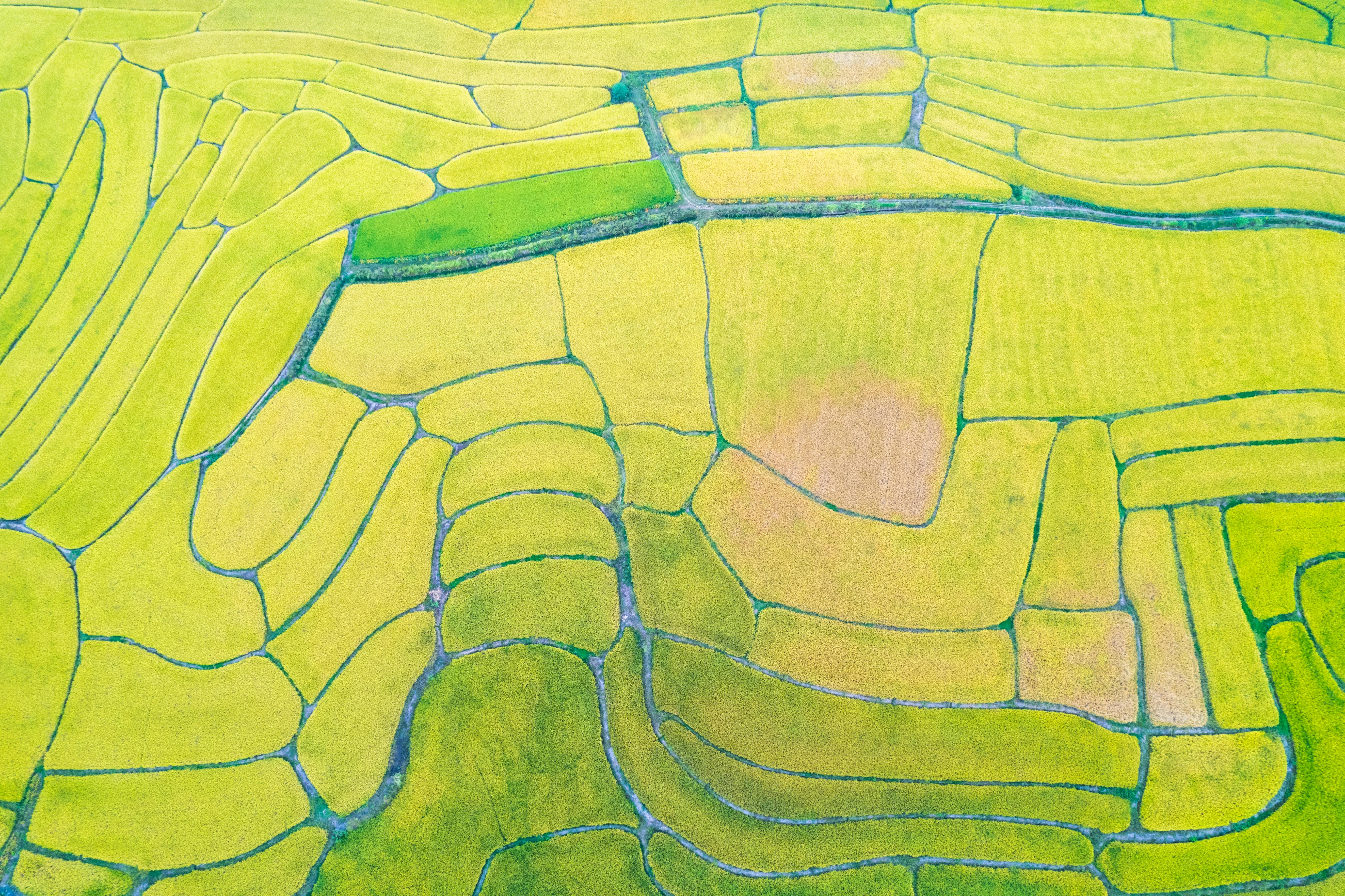 Stunning aerial shot of green rice terraces in rural China, showcasing intricate patterns.
