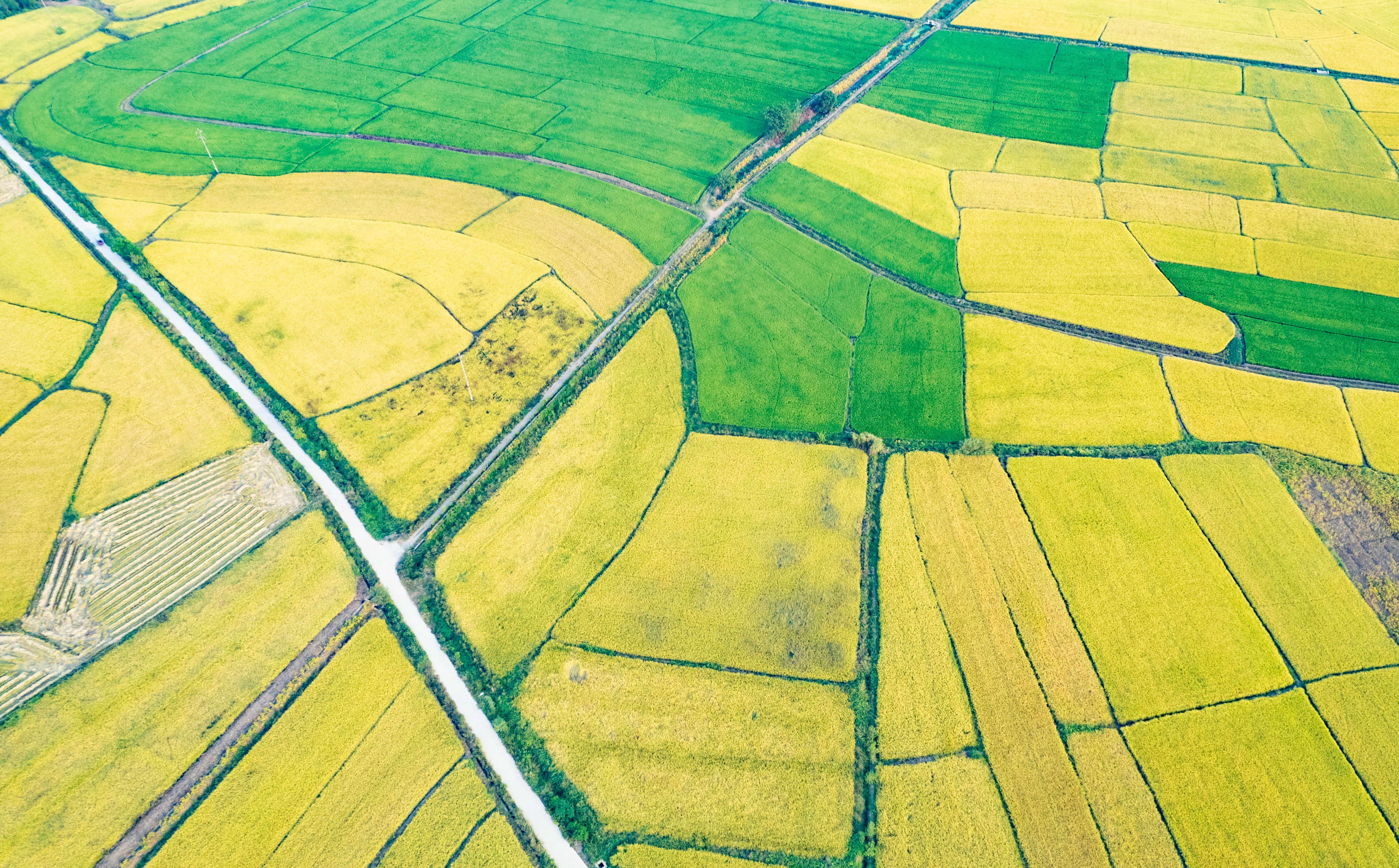 content farm examples