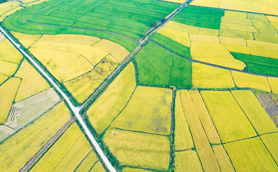 content farm examples