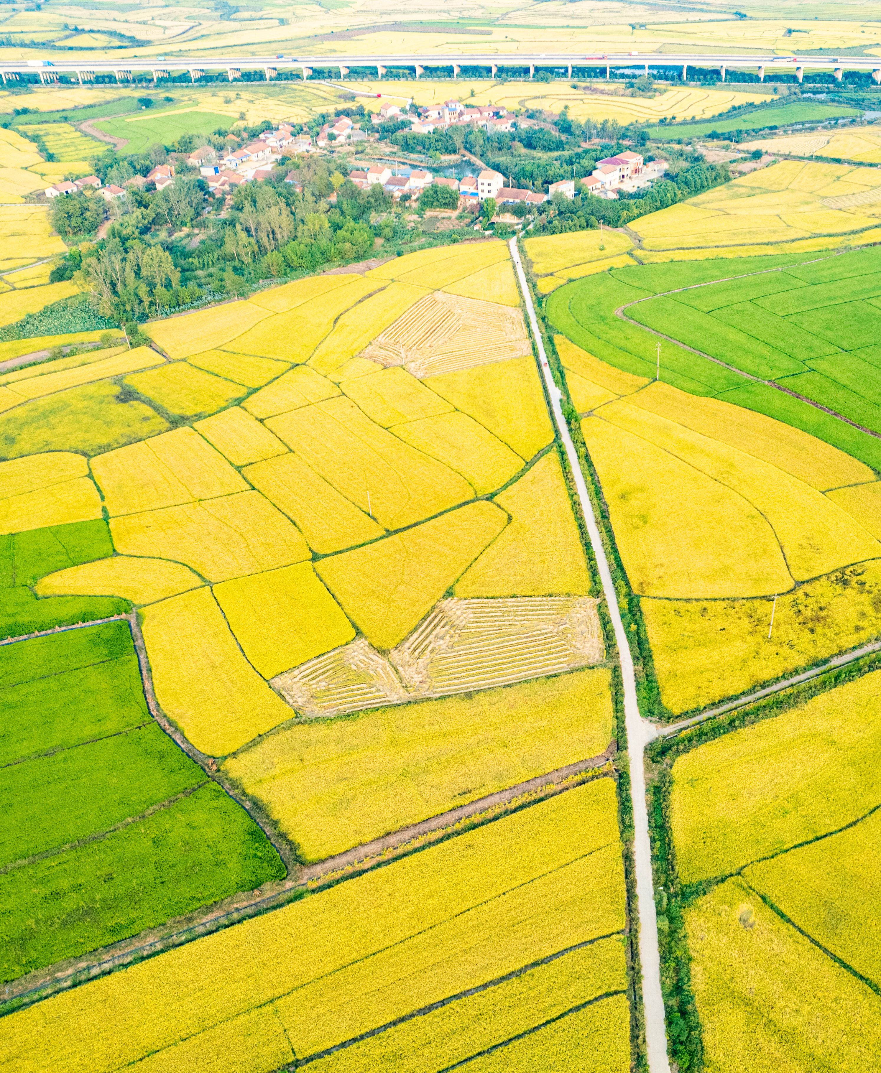 Aerial View of Croplands and Houses · Free Stock Photo