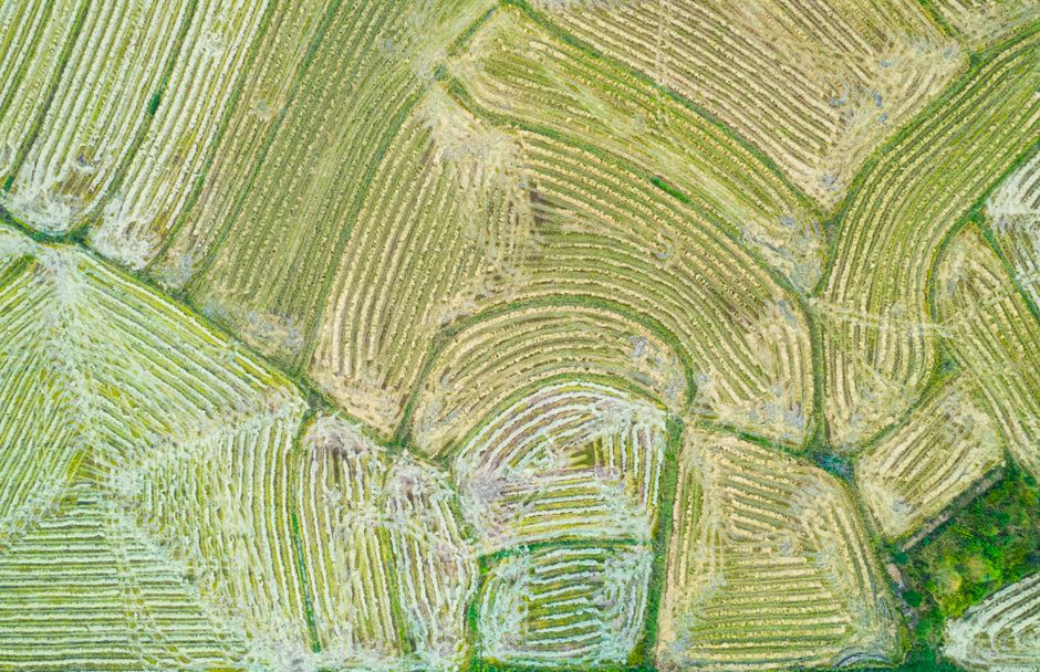 Stunning aerial shot showcasing the intricate patterns of lush green fields near Wuhan, China.