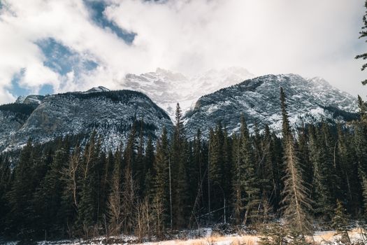 Scenic view of snow-covered mountains and forest in Banff National Park, Canada.