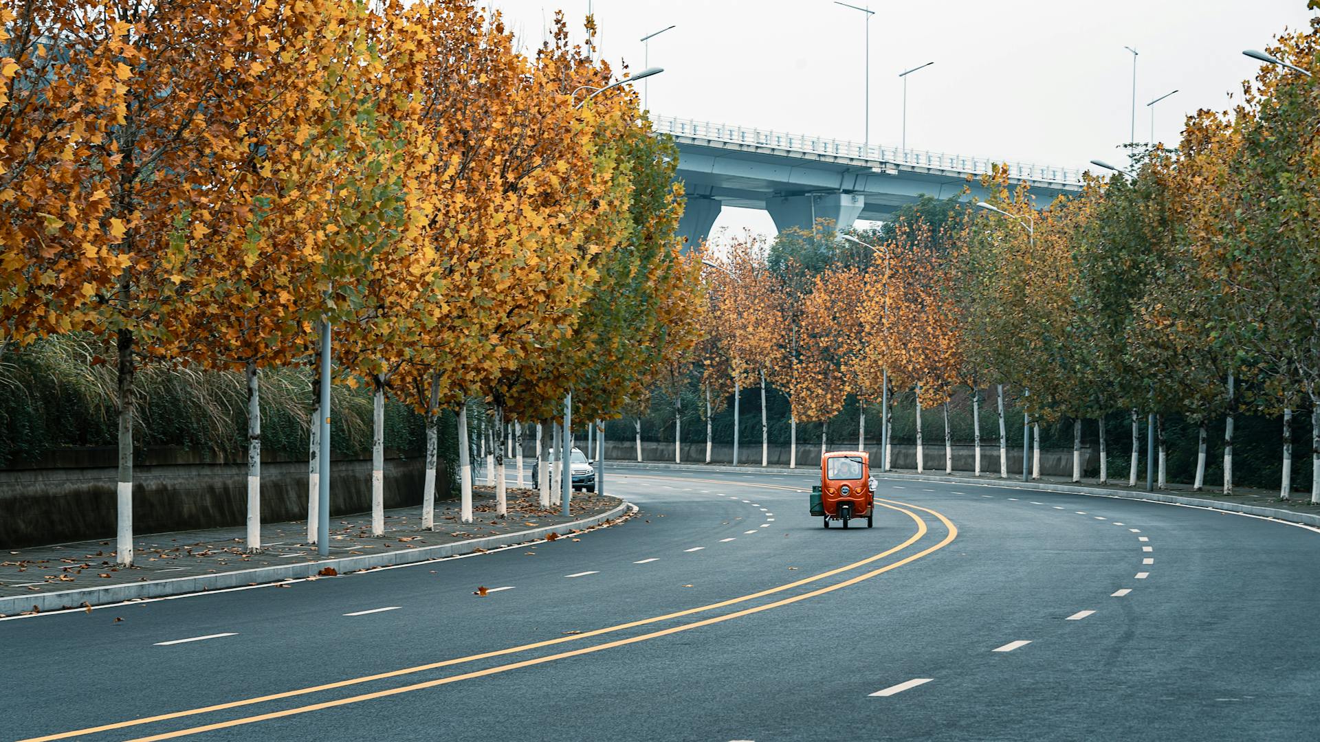 A small red car drives along a curved road lined with autumn trees under a bridge.