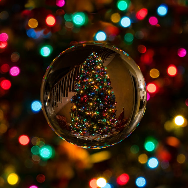 Glass Bauble Reflecting Christmas Tree