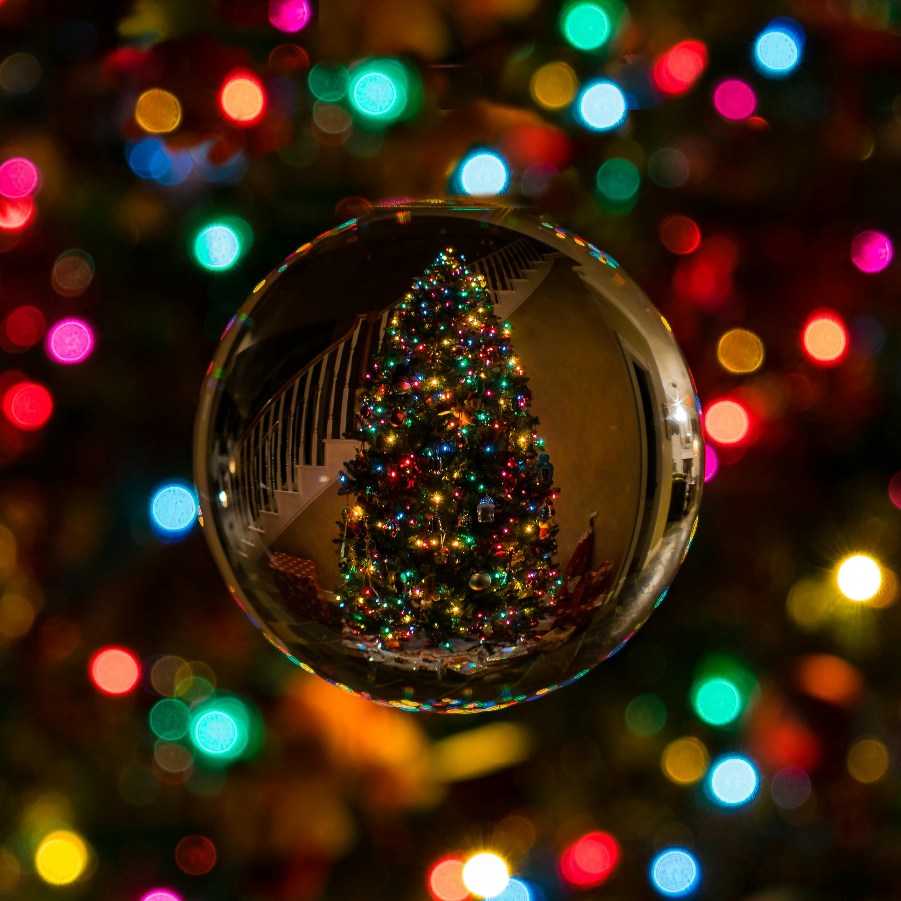 100,000+ Best Christmas Tree Photos · 100% Free Download · Pexels Stock  Photos
