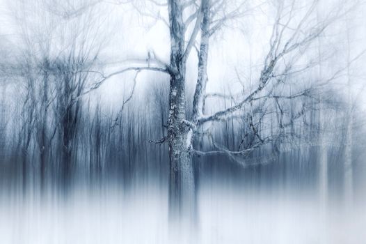 Dreamlike winter scene of a tree in a blurred, mystical forest setting.